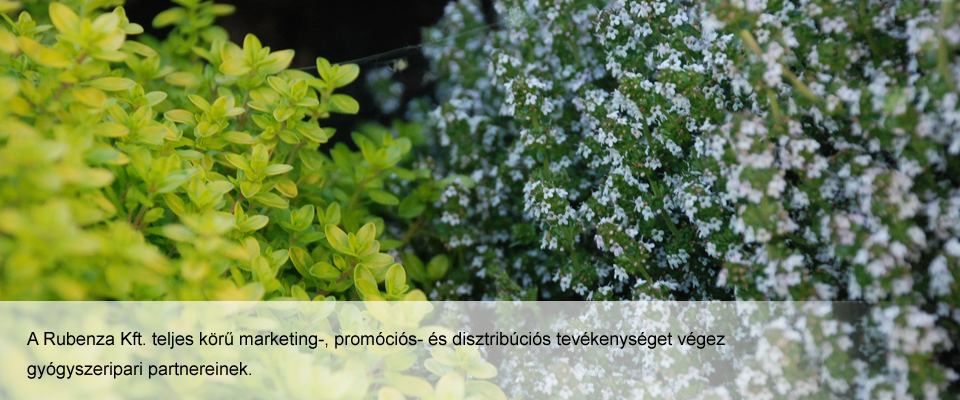 header-pc-002.png