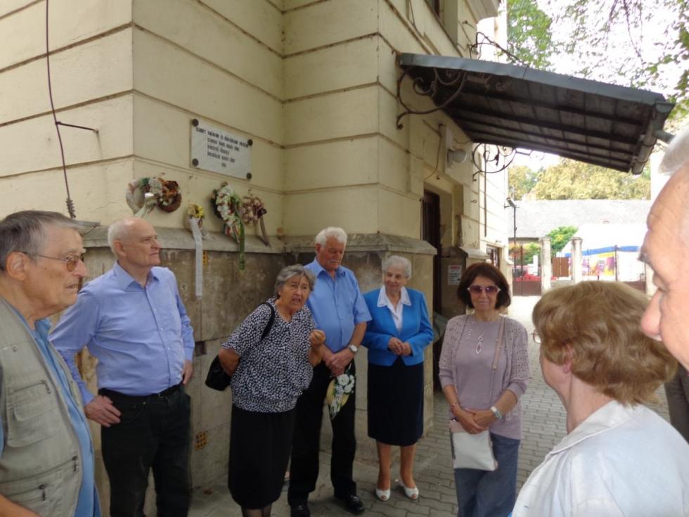 Szarvas-2-2019.szept.7.jpg